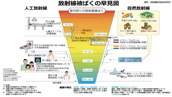 放射線被曝の早見図