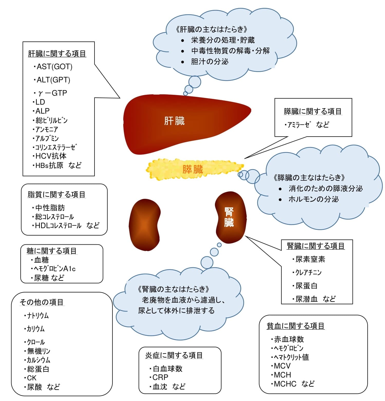 検体検査