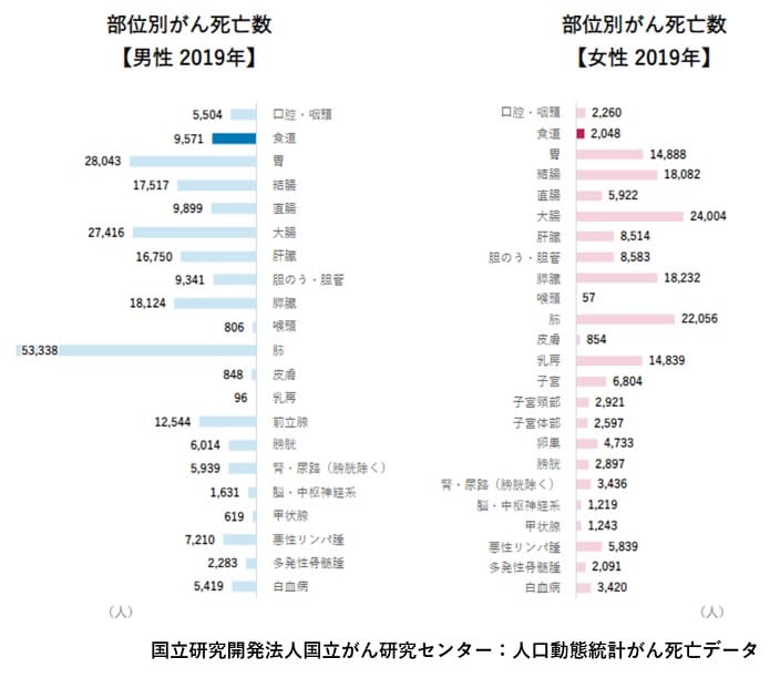 食道がんグラフ