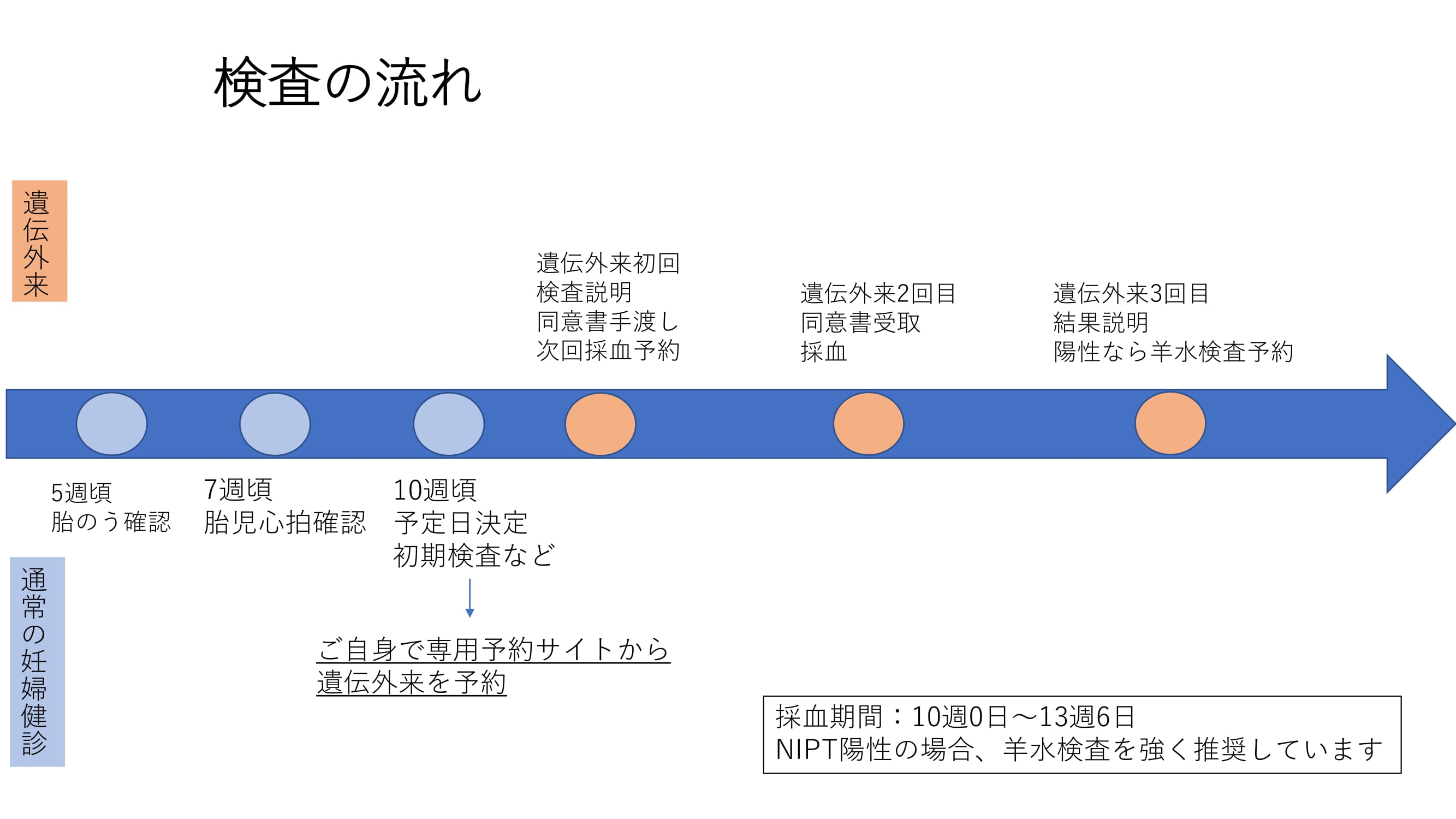 NIPTの流れ